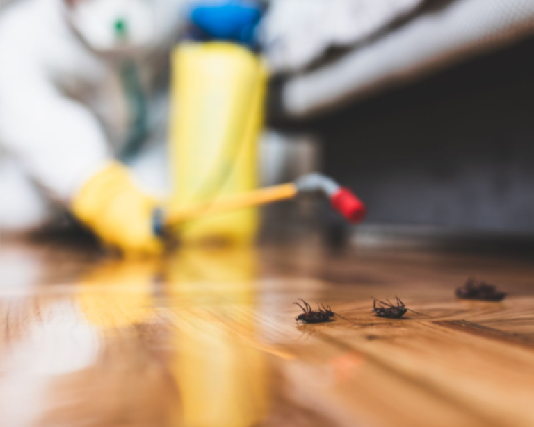 Mastering The Art Of Pest Control: Experienced Exterminators In Pacific Palisades